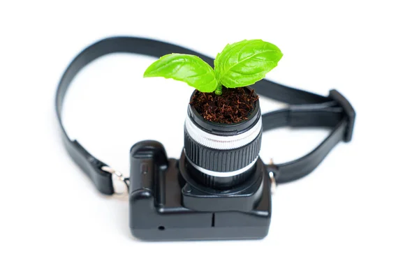 Minyatür Bir Kameranın Objektifinden Zarif Bir Şekilde Yeni Bir Filiz — Stok fotoğraf