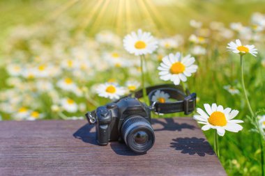 Çiçekli papatyalar karşısında tahta bir masanın günışığı oyuncak kamera seti. Çocukluğun yaratıcı ruhu..