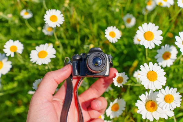 Miniature toy camera held in a hand, set against a picturesque daisy field. Exploring the beauty of nature through the lens of imagination.