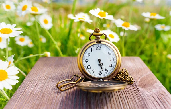 stock image Open vintage pocket watch placed on a rustic wooden table, beautifully set against the backdrop of a blooming daisy field. Time management and productivity related background.