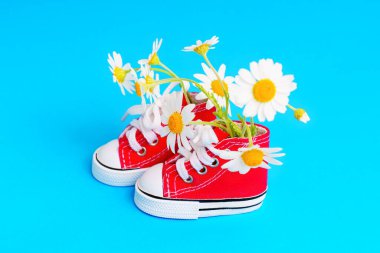 Sevimli, mavi bir arka planda sergilenen bir buket papatyayla dolu küçük, kırmızı tuval ayakkabılar. Yaratıcı moda ve ayakkabı konsepti.