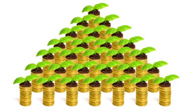 Tepeden filizlenen canlı taze fidanlarla birlikte piramit şeklinde düzenlenmiş bir para yığını. Finansal büyüme, başarı ve verimli yatırımlar için potansiyel..