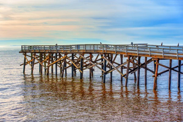 Güneş doğarken sakin bir an, okyanusa uzanan ahşap bir iskelede altın bir parıltı saçar..