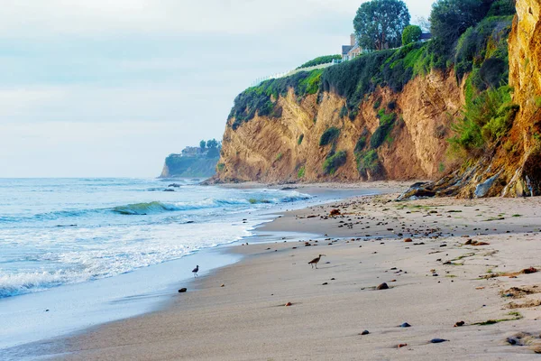Malibu, California 'nın Idyllic kıyısında, el değmemiş plajlar engebeli kayalıklarla buluşuyor..