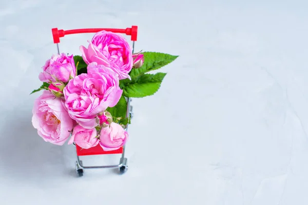 Small push cart full of tiny vibrant blooming roses isolated a neutral backdrop with copy space for personalized messages or captions. Florist business related background.