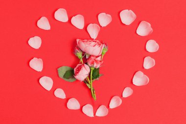 Merkezinde çiçek açan bir gül bulunan narin gül yapraklarından yapılmış kalp şeklinde bir düzenleme. Kırmızı arka planda. Aşk, güzellik ve aşk konsepti.
