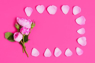 Yumuşak pembe arka planda gül ve yapraklardan yapılmış güzel bir çerçeve..