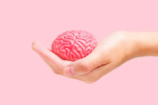 Vista Cerca Modelo Cerebro Humano Juguete Sostenido Mano Contra Vibrante — Foto de Stock