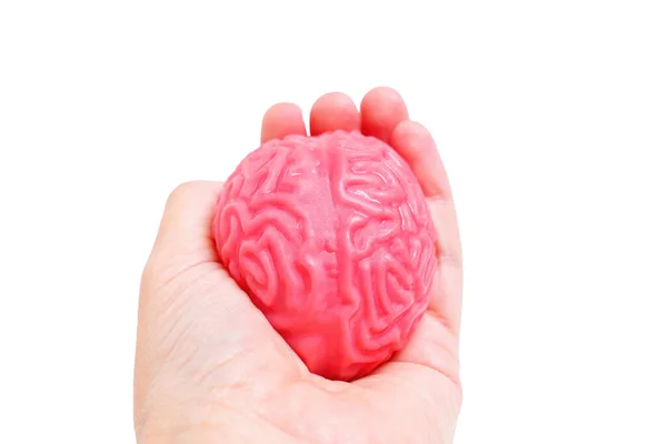 Close-up view of a hand squeezing a jelly-like human brain model isolated on white. Challenges and intense mental effort related concept.