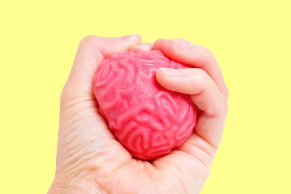 Mano Demuestra Control Influencia Apretando Firmemente Modelo Cerebro Humano Similar — Foto de Stock
