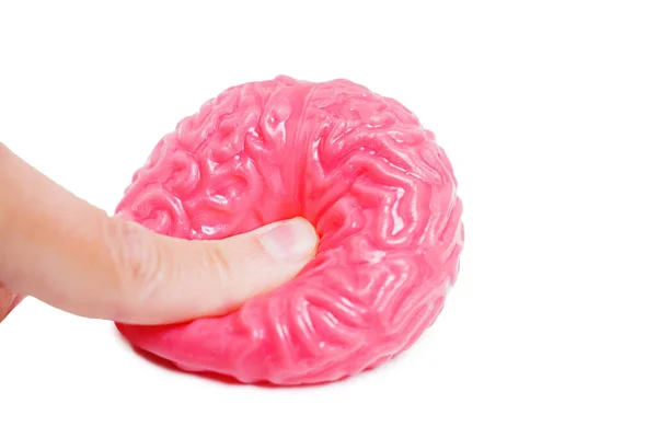 Vista Cerca Dedo Que Aplica Presión Modelo Cerebral Humano Gelatinoso — Foto de Stock