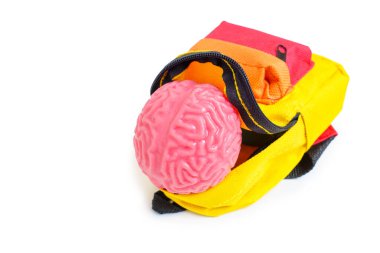Beyaza izole edilmiş canlı bir oyuncak sırt çantasının içine yerleştirilmiş esnek insan beyni modeli. Merak ve bilgi arzusu.