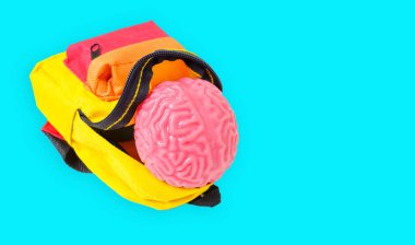 Mavi üzerine izole edilmiş açık sarı ve kırmızı bir sırt çantasının içine yerleştirilmiş insan beyni modelinin yakın görüntüsü. Harekete geçme kavramını öğreniyorum..