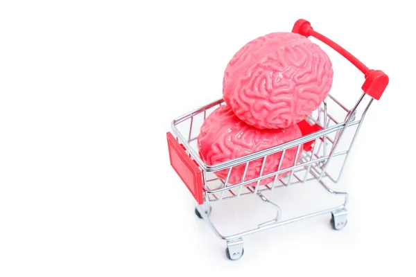 Two anatomical models of a human brain placed in a shopping trolley isolated on white background. Consumerism and materialism related concept.