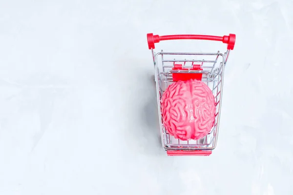 Top-down view of an anatomical model of human brain set in a push cart isolated on grey. Brain as a valuable commodity and its commercialization concept.