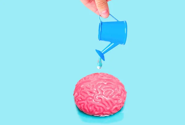 Zabawkowy Model Ludzkiego Mózgu Podlewany Malutką Niebieską Puszką Wspieranie Idei — Zdjęcie stockowe