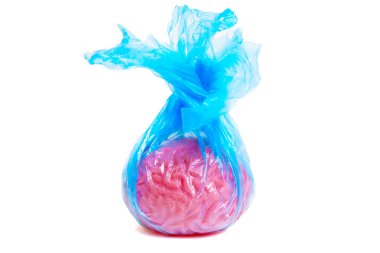 Şeffaf mavi bir çöp torbasına sarılmış insan beyninin anatomik kopyası. Uygun atık yönetimi kavramı.