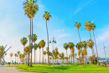 Los Angeles, Kaliforniya - 29 Aralık 2022 Venedik Plajı 'nda yemyeşil ve palmiye ağaçları güneşli bir kış gününde