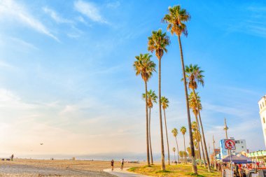 Los Angeles, California - 29 Aralık 2022: Venedik Plajı Uzun Palmiye Ağaçları ve Sahildeki Yaşam Tarzını Kucaklayan İnsanlar