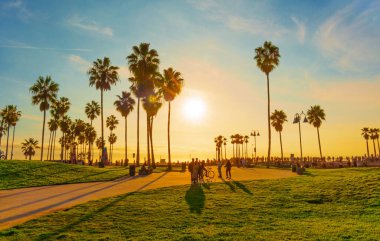 Los Angeles, California - 29 Aralık 2022: Canlı Yeşil Çimler ve Sallanan Palmiye Ağaçları ile Venedik Plajı