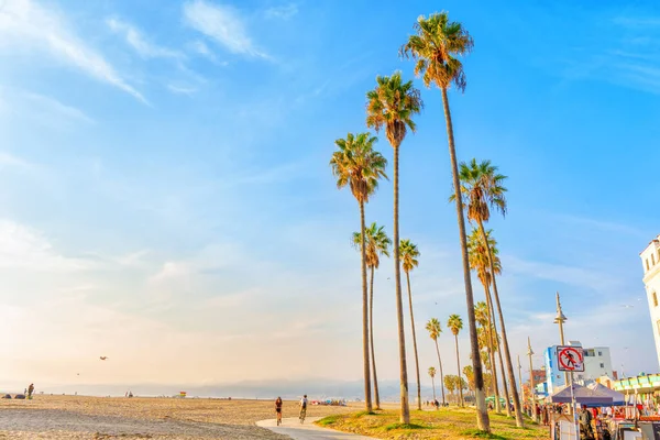 Λος Άντζελες Καλιφόρνια Δεκεμβρίου 2022 Παραλία Της Βενετίας Ψηλά Φοινικόδεντρα — Φωτογραφία Αρχείου