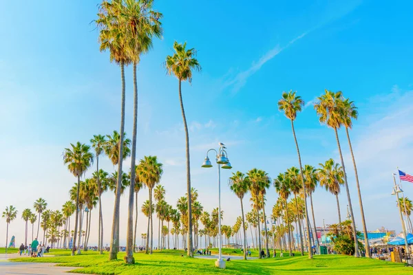 Λος Άντζελες Καλιφόρνια Δεκεμβρίου 2022 Παραλία Της Βενετίας Μια Ηλιόλουστη — Φωτογραφία Αρχείου