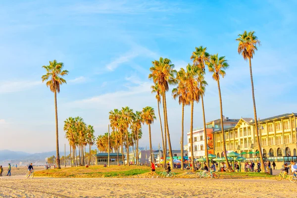 Los Angeles Kalifornien Dezember 2022 Vor Der Kulisse Hoher Palmen — Stockfoto