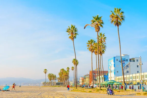 Los Angeles Kalifornien Dezember 2022 Menschen Genießen Einem Sonnigen Wintertag — Stockfoto
