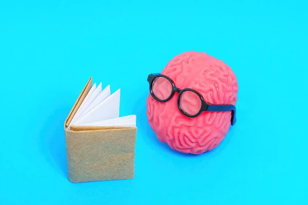 Симпатичный Персонаж Человеческого Мозга Украшенный Очками Глубоко Погруженный Чтение Книги — стоковое фото