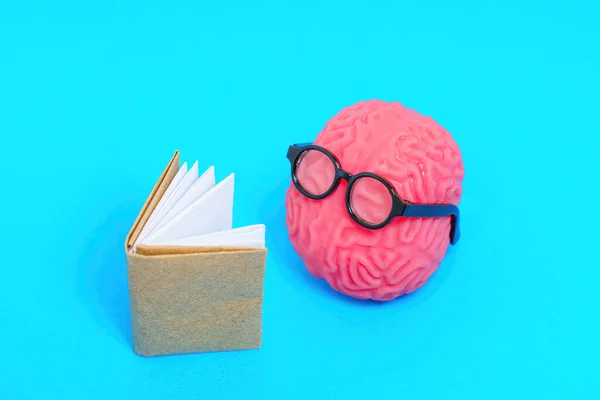 メガネで飾られたかわいい人間の脳のキャラクターは 青い背景に隔離された本を読むことに深く魅了されました 教育と関連するコンセプトの研究 ストックフォト