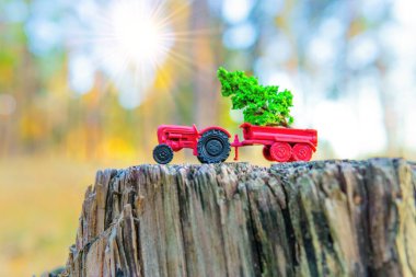 Yatağında küçük yeşil bir ağaç olan kırmızı oyuncak traktör ormandaki bir ağaç kütüğünün üzerinde duruyor. Ormanla ilgili arka plan.