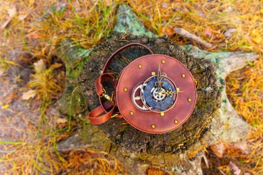 Süslü bir yüzü ve dekoratif vitesleri olan, ormanın ortasındaki bir ağaç kütüğüne yerleştirilmiş, eşsiz ve modaya uygun bir orman manzarası yaratan şık bir yuvarlak çanta..