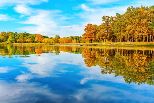 Serene view of a tranquil lake nestled within the colorful embrace of the fall forest.