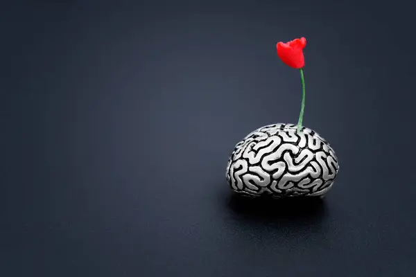 Miniature toy rose flower rising from a miniature steel model of a human brain against a back background with copy space. Plant therapy for depression and anxiety.