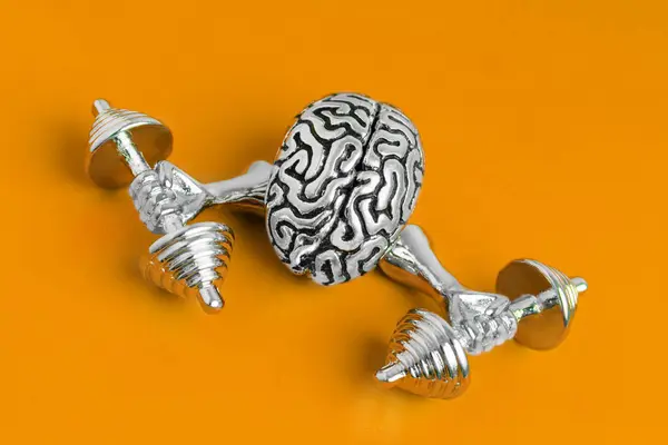Anatomical copy of a human brain training with weights isolated on orange background.