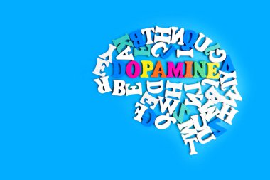 Beyaz ve mavi ahşap harfler, canlı bir 'Dopamin' kelimesinin etrafında dönen insan beyin şeklini oluşturur. Öğrenme ve zihin ödüllendirme kavramı.