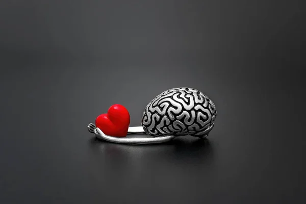 人間の脳の解剖学的モデルのクローズアップビューは コピースペースで黒い背景に隔離された手の小さな赤い心臓を粉砕します ロマンチックなバレンタインデーカードコンセプト ロイヤリティフリーのストック写真