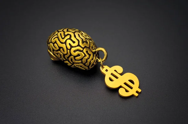 Gold-plated brain adorned with a shimmering dollar sign, set against a sleek black background. Wisdom and wealth related concept.