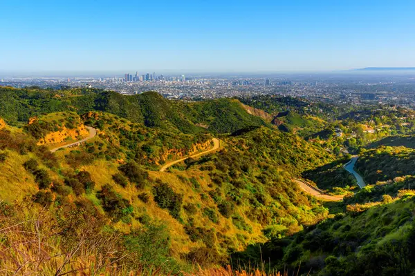 Verdant Hills ve Griffith Park 'ın dolambaçlı yolları, Los Angeles' ın ikonik silueti. Huzur ve şehrin canlı tuvali Angeles 'ta..