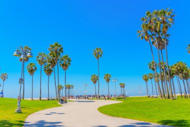 Los Angeles, Kaliforniya - 3 Nisan 2024: Venedik Plajı, yüksek palmiye ağaçları, açık mavi gökyüzü ve Los Angeles 'ta aydınlık bir günde boş zaman aktiviteleriyle meşgul olan kişiler