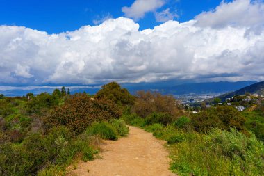 Runyon Canyon Parkı 'nda yemyeşil bir toprak yol. Mavi gökyüzünde yoğun beyaz bulutlar var..