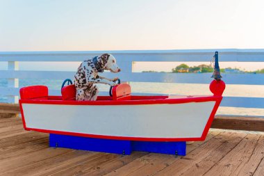 Sunset scene of a Dalmatian puppy siting in a colorful wooden ride-on boat installed on a wooden pier, with paws on the wheel. clipart