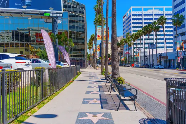 Los Angeles, Kaliforniya - 9 Nisan 2024: Hollywood Şöhret Yolu 'nun yıldızlarla kaplı kaldırımının manzarası açık bir günde palmiye ağaçlarıyla kaplı, mavi gökyüzü.
