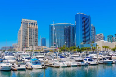 San Diego, California - 16 Nisan 2024: San Diego Marina with City Buildings