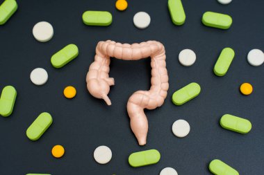 Kalın bağırsak modeli, çeşitli haplar ve kapsüllerle çevrili, koyu bir arka plana saçılmış. Sindirim sağlığı ilaçları ve bağırsak hastalıklarının tedavisi.