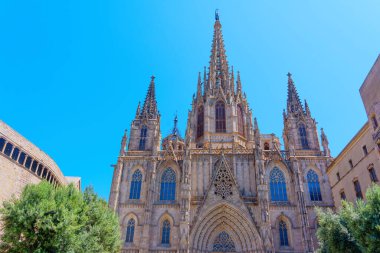 Barselona, İspanya - 16 Temmuz 2024: Gotik katedral cephesi ve canlı Barselona yapıları.