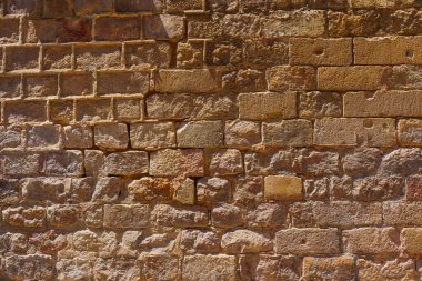 Barcelona 'da zengin dokuları olan engebeli bir taş duvar.