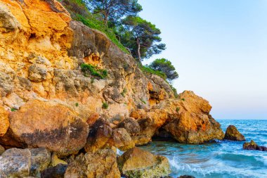 İspanya, Tarragona 'da denizin üzerindeki yemyeşil kayalıklarda altın renkler.
