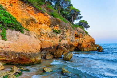 Kayalıklar kumlu sahilde canlı bitkilerle bezenmiş..