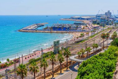 Tarragona, İspanya - 15 Temmuz 2024: Dinamik Tarragona Kıyısı Palmiye Ağaçları ve Dalgaları